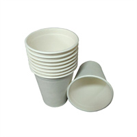 sugarcane cup from mmcis china